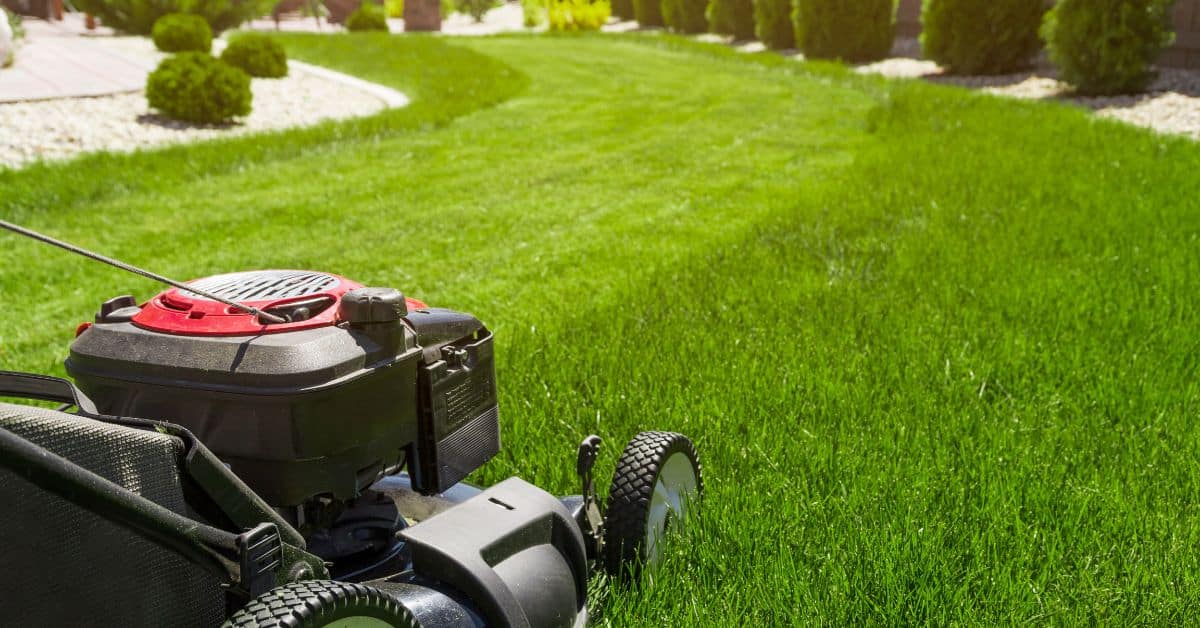 Lawn mower mowing a lawn